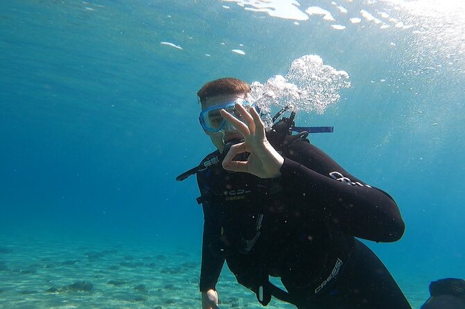 Discover Small Group Scuba Diving Experience in Nea Makri, Athens - Why the four-person limit matters