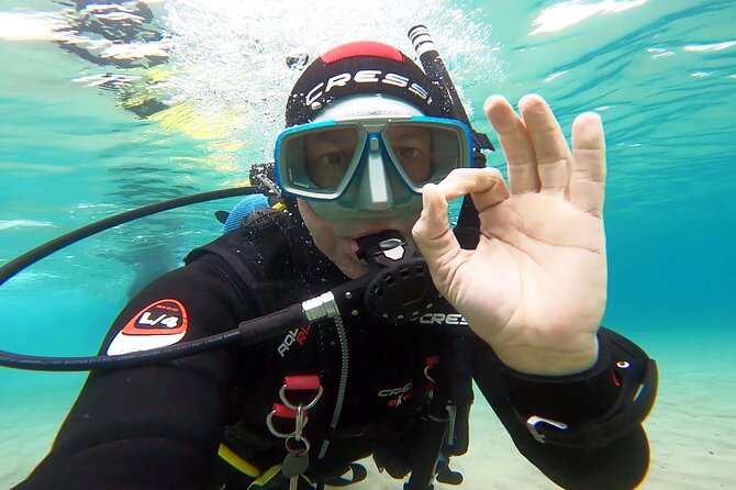 Discover Small Group Scuba Diving Experience in Nea Makri, Athens - The guides are the main reason to book