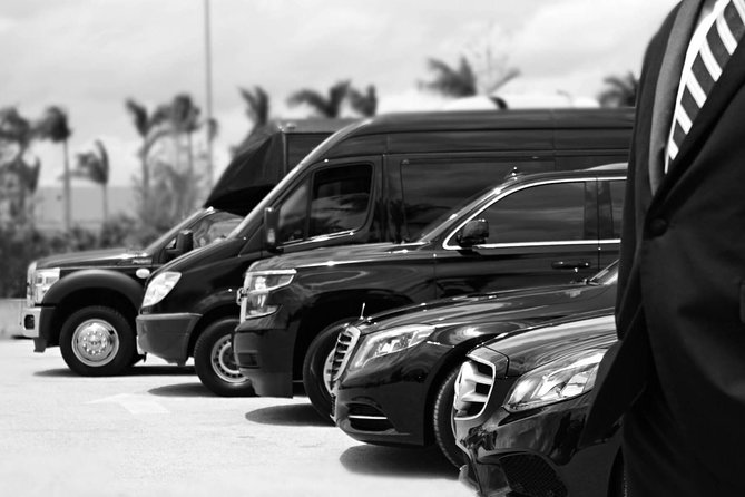 Economy Arrival Transfers From Santorini Airport To All Destinations - What the 30-minute ride is really like
