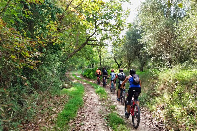 Eleftherna E-Bike and MTB Tour - Experience The Authentic Crete - Key points before you book