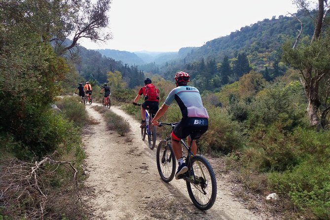 Eleftherna E-Bike and MTB Tour - Experience The Authentic Crete - Why this ride shows you another side of Crete