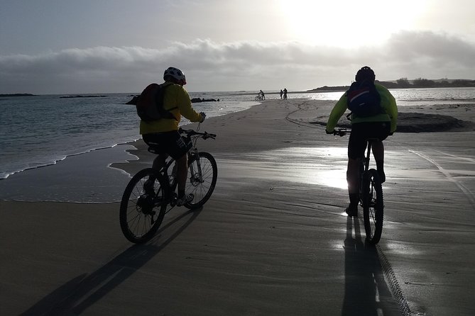 Eleftherna E-Bike and MTB Tour - Experience The Authentic Crete - The quiet appeal of old trails and riverbanks