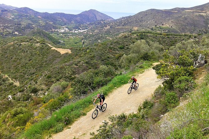 Eleftherna E-Bike and MTB Tour - Experience The Authentic Crete - A stop at a local taverna
