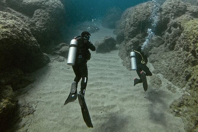 Experience Scuba Diving in Heraklion Crete - Following fish, sea urchins, and an octopus