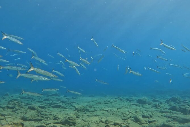 Experience Scuba Diving in Heraklion Crete - Why the eight-person limit matters