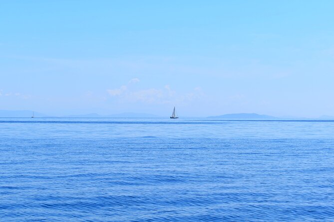 From Agia Efimia: All Inclusive Sailing Day Tour to Ithaca - Key points to know before booking