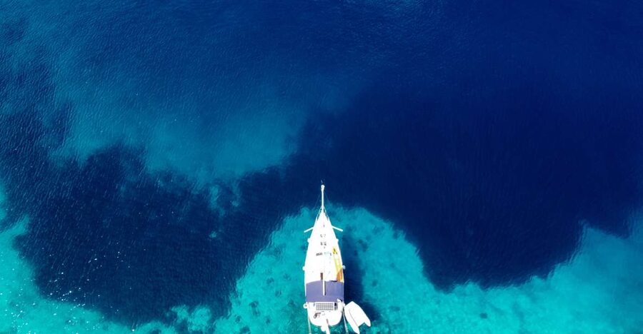 From Agia Efimia: All Inclusive Sailing Day Trip to Ithaca - Lygia-Pera Pigadi combines swimming with the main meal