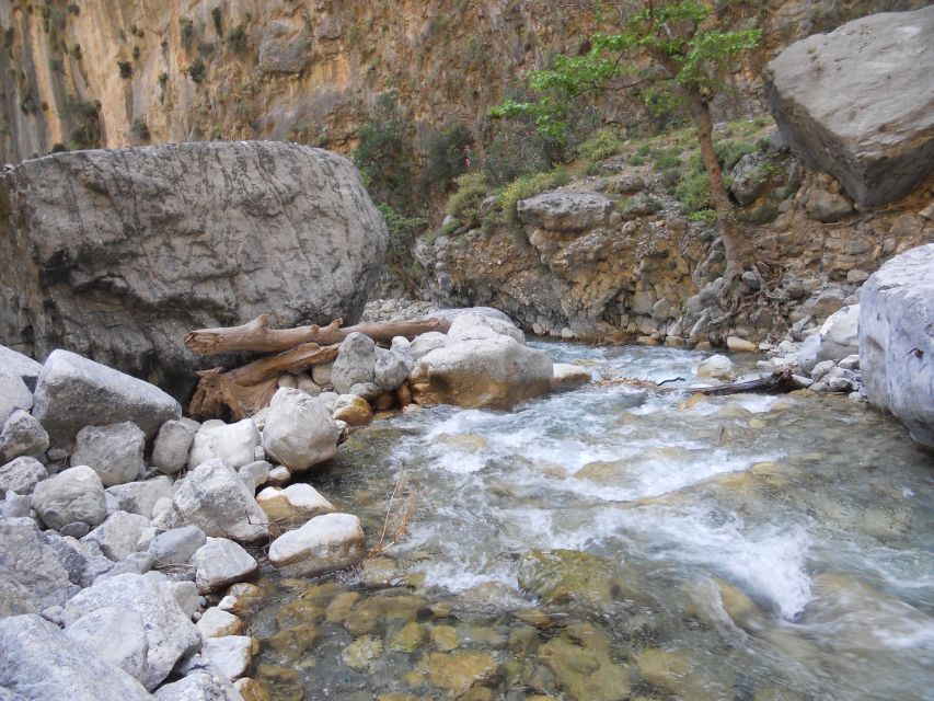 From Agia Galini/Matala: Samaria Gorge Hiking Tour - Starting the 1,200-metre descent