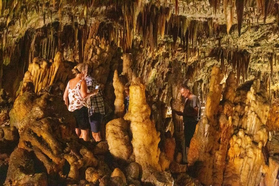 From Argostoli: Melissani Lake & Drogarati Caves Tour - Why these two caves belong on your Kefalonia list