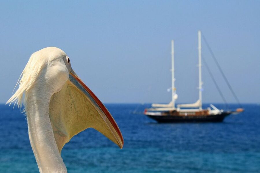 From Athens: 2-Day Santorini and Mykonos Trip - Santorini’s caldera and a short evening