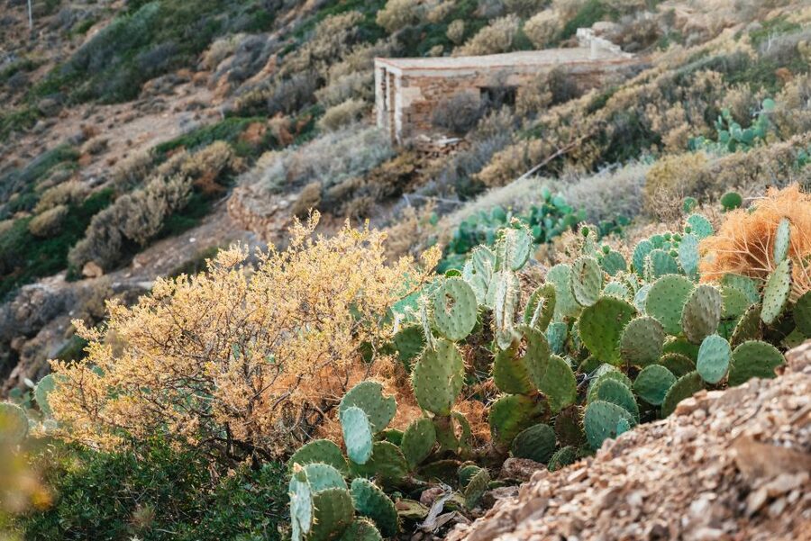 From Athens: Cape Sounion & Temple of Poseidon Half Day Tour - Anavyssos Beach from May through October