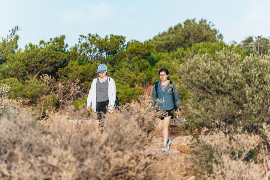 From Athens: Cape Sounion & Temple of Poseidon Half Day Tour - The Temple of Poseidon visit