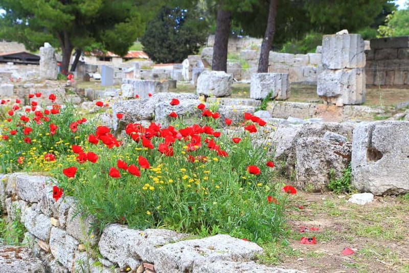 From Athens: Explore Ancient Corinth & Charming Nafplion - Should you book Ancient Corinth and Nafplion?