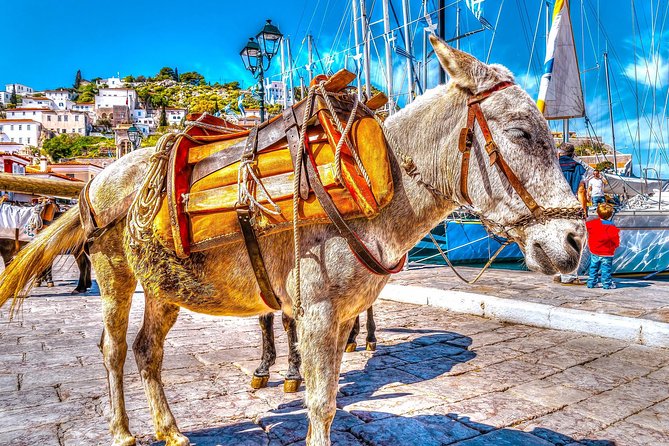 From Athens: Hydra, Poros, and Aegina Day Cruise with Lunch - Hydra: The Most Memorable Stop