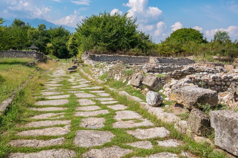 From Athens: Mt. Olympus National Park Guided Day Tour - Litochoro, local food, and a short village pause