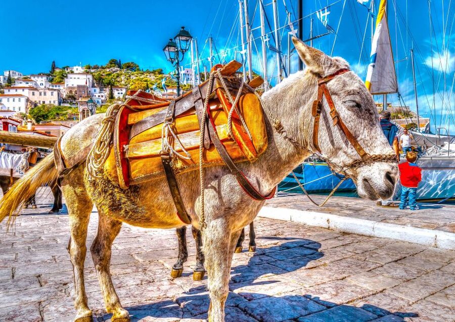 From Athens: Saronic Islands Full-Day Cruise with VIP Seats - What the 12-hour schedule feels like