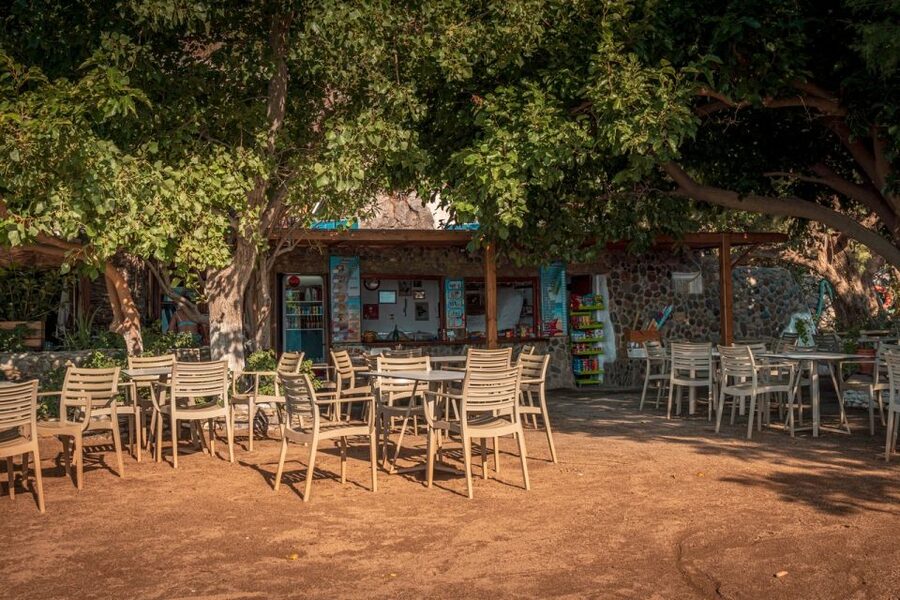 From Chania: Day Trip to Preveli Beach & Damnoni Beach - Why Preveli Is Worth the Long Ride South
