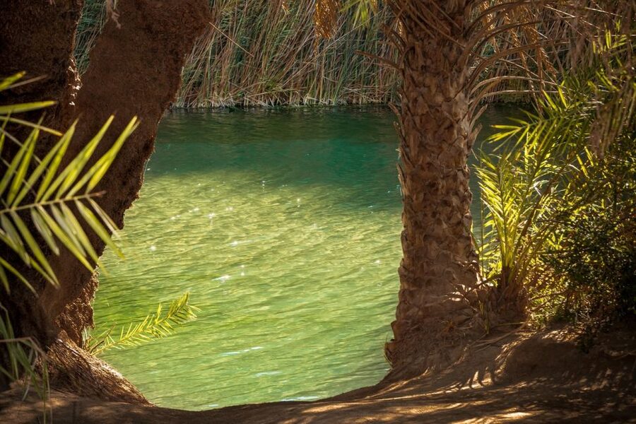 From Chania: Day Trip to Preveli Beach & Damnoni Beach - Preveli Beach: Palm Trees, River Water, and Pebbles