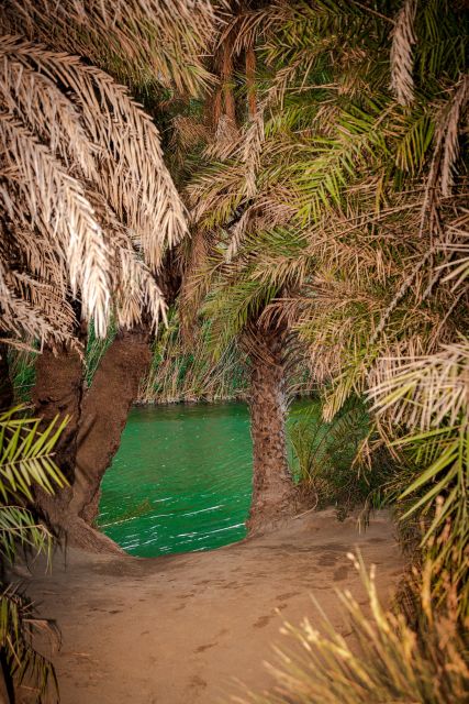 From Chania: Day Trip to Preveli Beach & Damnoni Beach - Practical Tips for Making the Day Better
