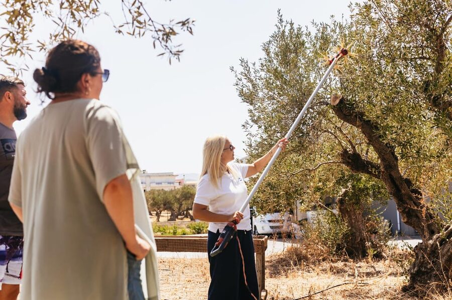 From Chania: Elafonisi and Falasarna Guided Tour with Snacks - Dates, pickup, and practical planning