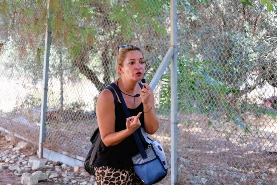 From Chania: Full-Day Heraklion Highlights Guided Tour - Heraklion town, harbor, and Venetian walls