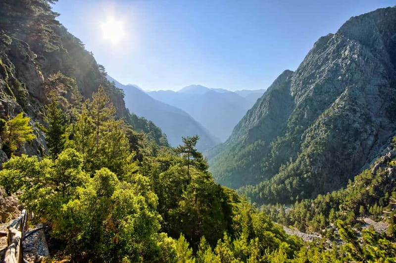 From Chania: Full-Day Samaria Gorge Trek Excursion & Guide - Ancient trees, springs, goats, and narrow stone walls