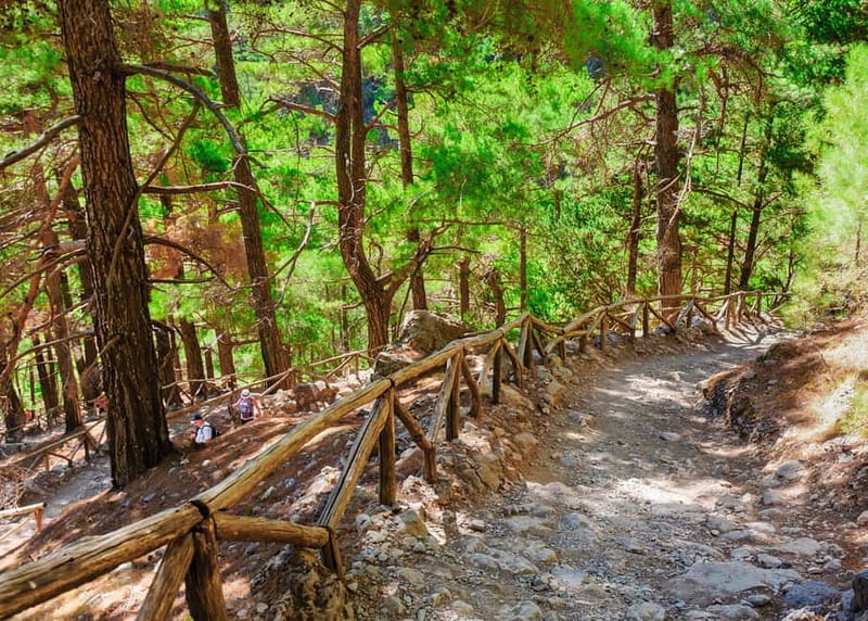 From Chania: Full-Day Samaria Gorge Trek Excursion & Guide - What the 17-kilometer walk feels like