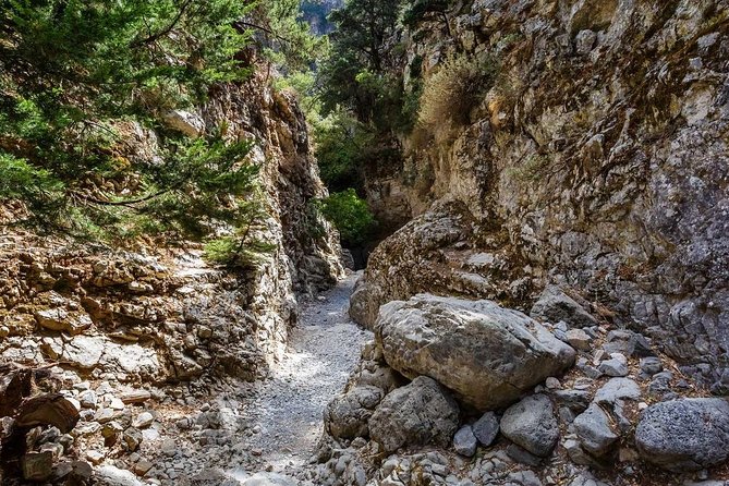From Chania: Imbros Gorge and Sfakia Experience Hike & Swim - The ride from Chania to the mountain trail