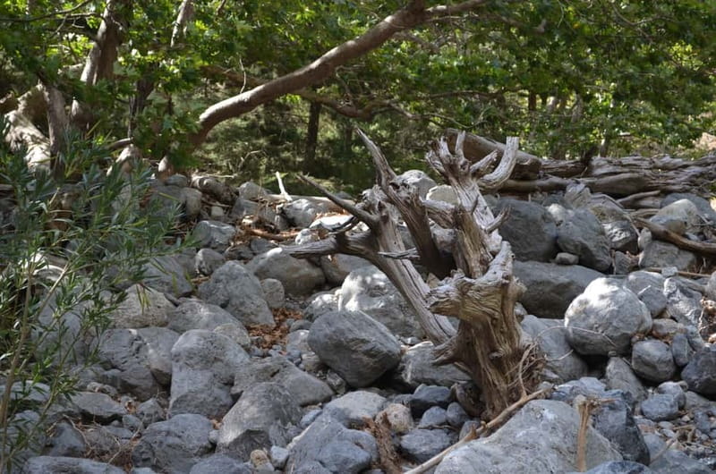 From Chania/Kalyves: Full-Day Samaria Gorge Hiking Day Trip - Practical packing list for the gorge