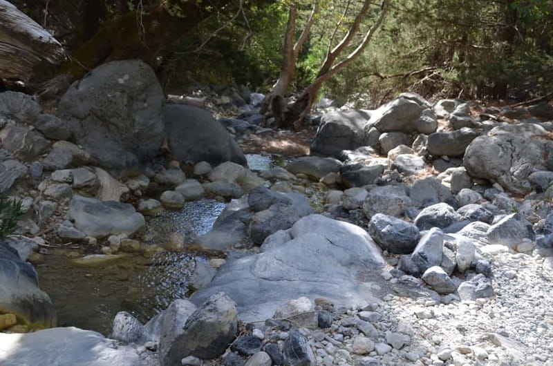 From Chania/Kalyves: Full-Day Samaria Gorge Hiking Day Trip - What the 5.5-hour hike feels like