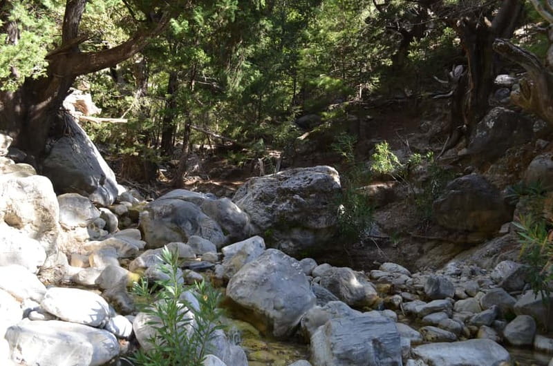 From Chania/Kalyves: Full-Day Samaria Gorge Hiking Day Trip - The long pause in Agia Roumeli
