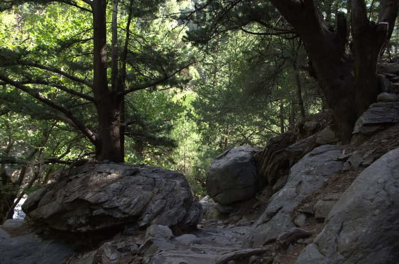 From Chania/Kalyves: Full-Day Samaria Gorge Hiking Day Trip - What the $32.75 price really covers