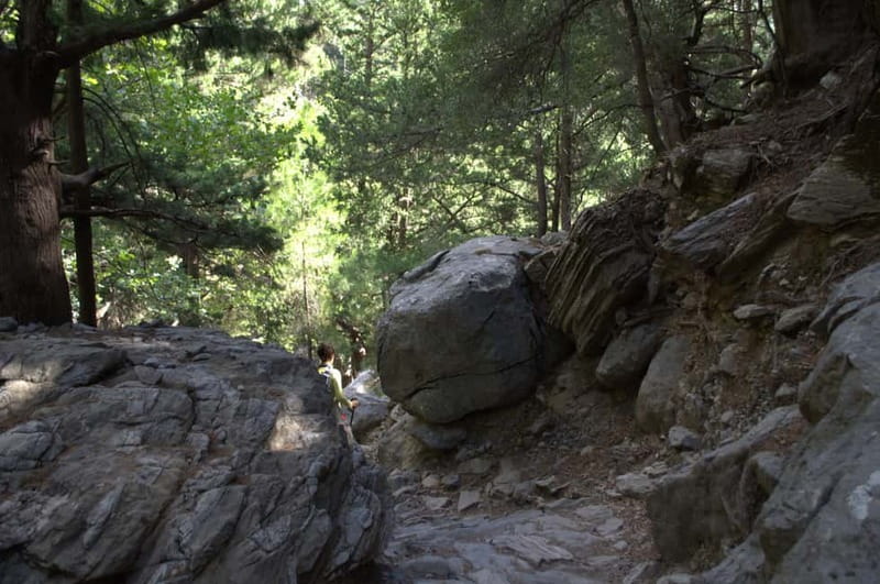 From Chania/Kalyves: Full-Day Samaria Gorge Hiking Day Trip - Who should book this walk