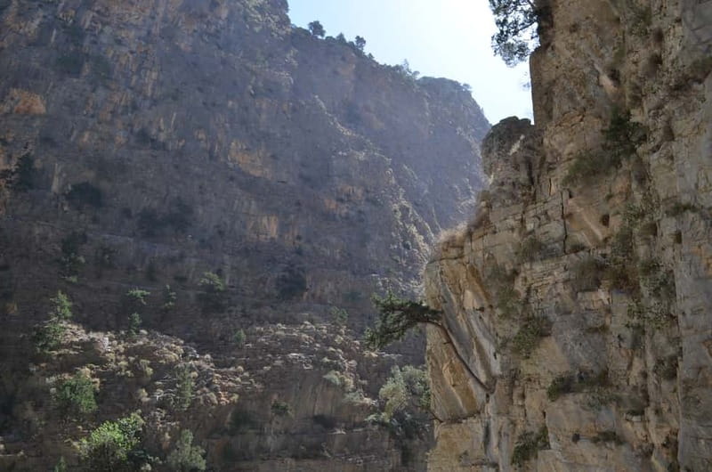 From Chania/Kalyves: Full-Day Samaria Gorge Hiking Day Trip - The early pickup from Chania or Kalyves