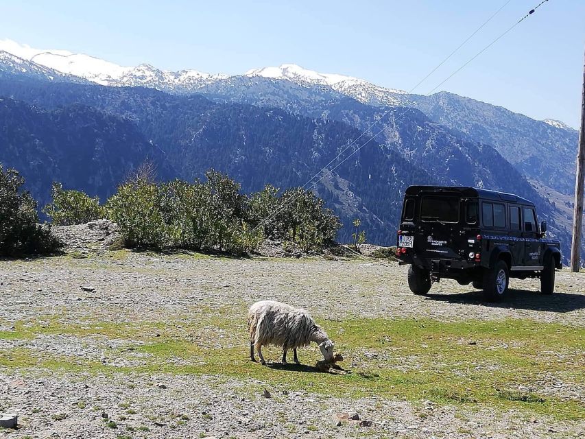 From Chania: White Mountains Land Rover Safari - Why this Land Rover day is different from a beach excursion