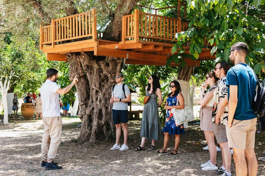 From Chania: Wine and Olive Oil Tasting Tour with Snacks - From Chania into the Kissamos hills