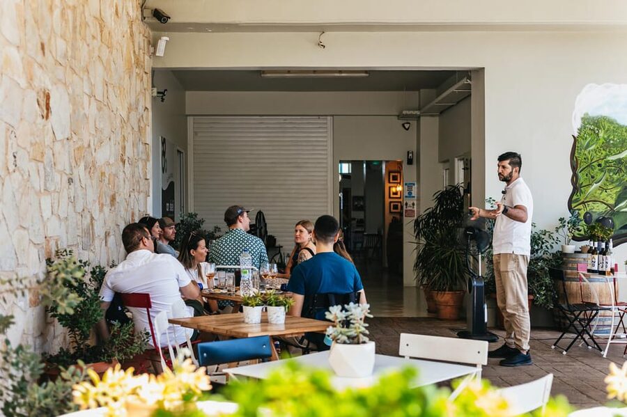 From Chania: Wine and Olive Oil Tasting Tour with Snacks - Guides make the difference