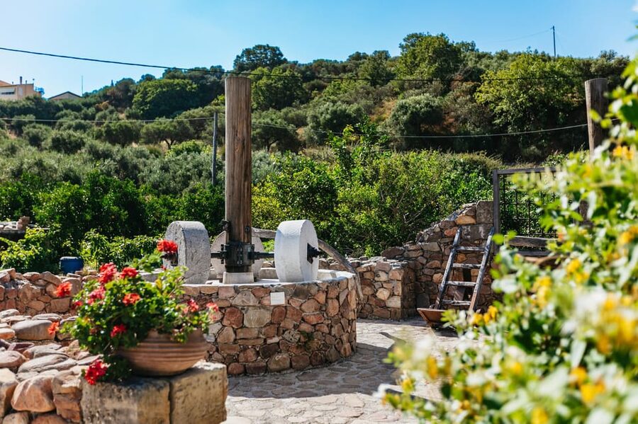 From Chania: Wine and Olive Oil Tasting Tour with Snacks - Who should book this Chania wine tour?