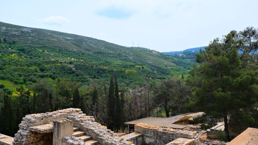 From Heraklion: Historical Center City Tour & Knossos Palace - Timing, heat, and the pace of the day