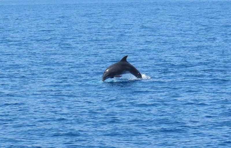 From Kos:A full day cruise in the newest luxury vessel! - What the crew adds to the day