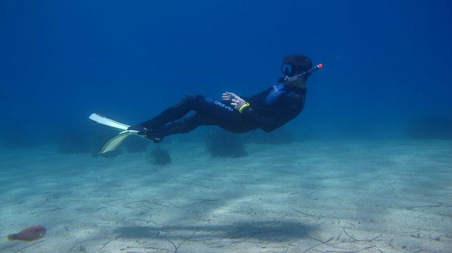 From Kos: Pserimos Island Snorkeling Cruise by Diving Boat - The safety briefing before you enter the water