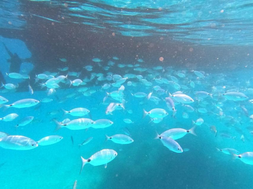 From Lefkimmi: Boat Trip to Sivota & Blue Lagoon - Who should book this boat trip