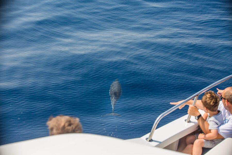 From Lefkimmi: Paxos, Antipaxos & Blue Caves Speedboat Tour - Entering the Blue Caves of Paxos