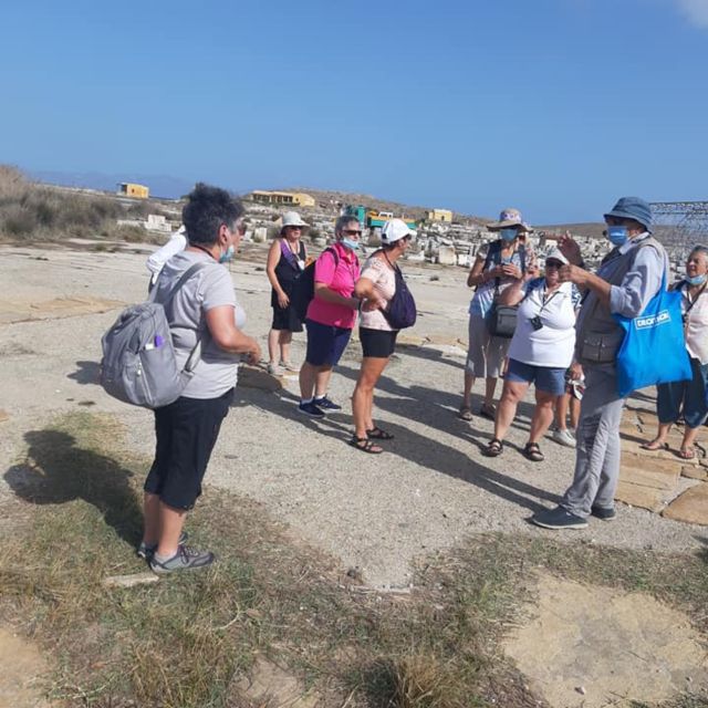 From Mykonos: Ancient Delos Tour - Should you book the Ancient Delos Tour?