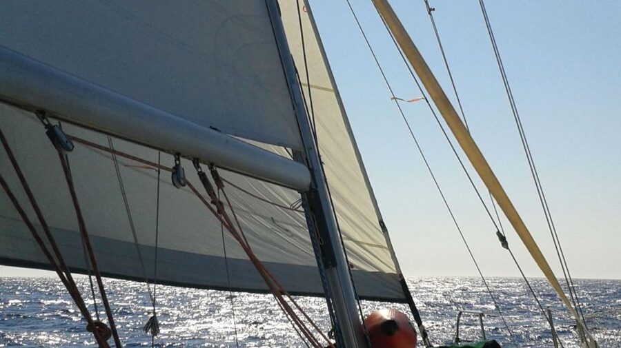 From Neos Marmaras: Halkidiki Islets and Coves Cruise - What you eat and drink onboard