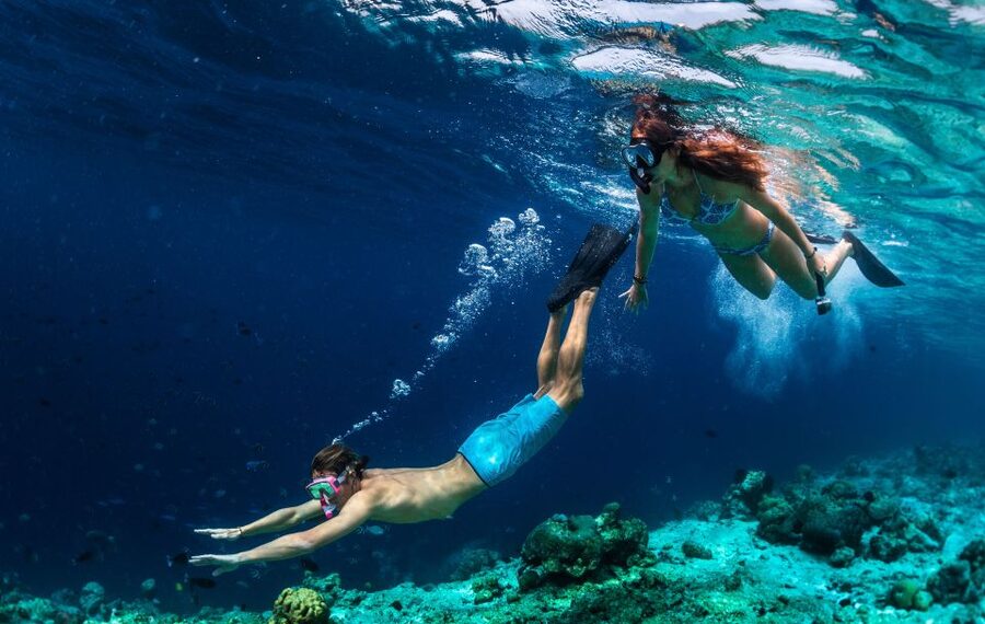 From Nidri: Marine Wildlife Cruise with Lunch and Swim Stops - A Greek BBQ lunch served on board