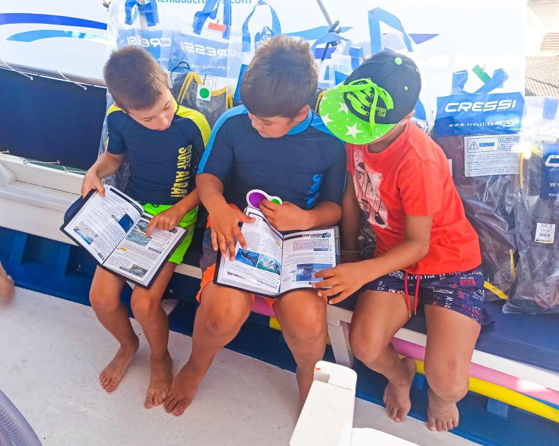 From Nidri: Marine Wildlife Cruise with Lunch and Swim Stops - What makes the marine guide useful