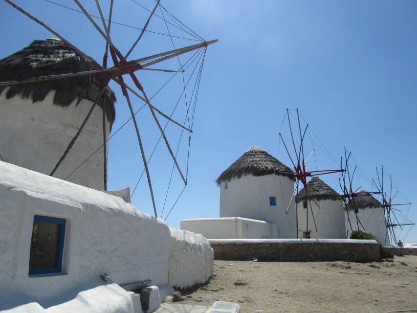 From Paros: Delos and Mykonos Full-Day Boat Trip - Practical details that can make the day easier