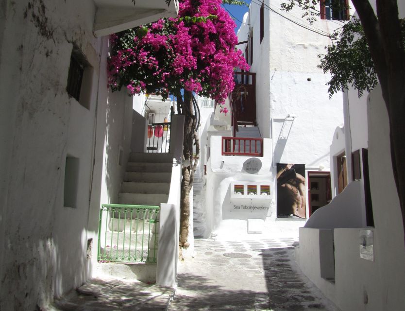 From Paros: Delos and Mykonos Full-Day Boat Trip - Should you book it?