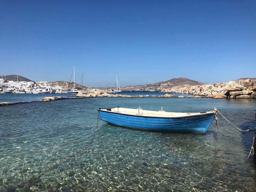 From Paros: Mykonos Full-Day Trip by Catamaran - Food, coffee, shopping, and galleries
